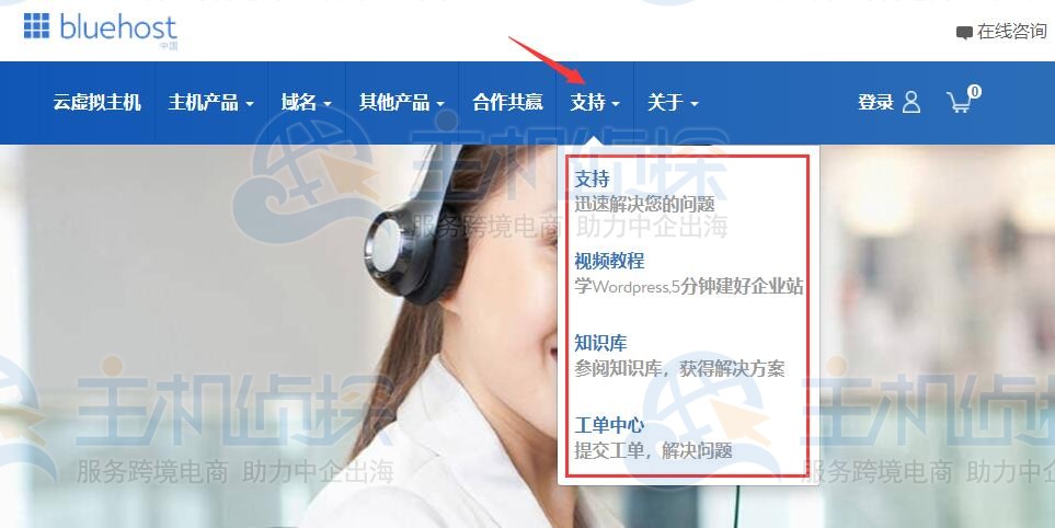 BlueHost实时支持和帮助
