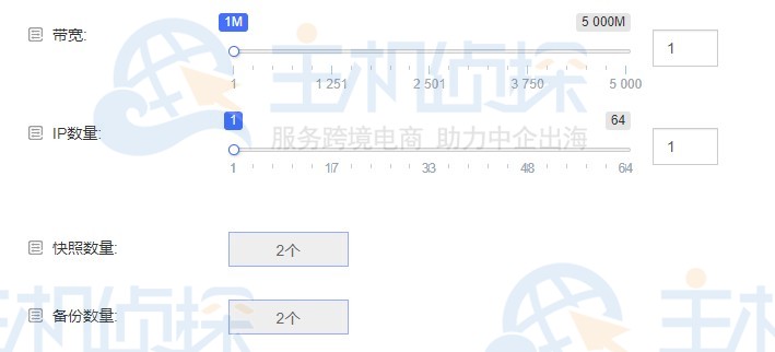 RAKsmart美国云服务器带宽和IP数量