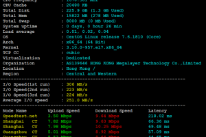 Megalayer新加坡服务器评测
