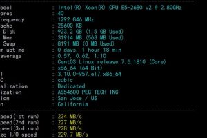 RAKsmart美国服务器CPU性能