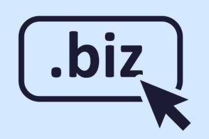 biz域名表示的是什么