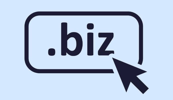 biz域名表示的是什么