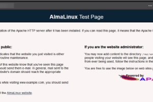 安装搭建Apache服务器