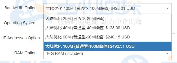 香港100m带宽服务器