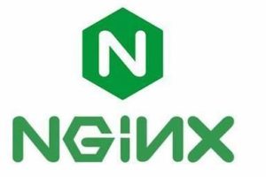 Nginx 1.20.2稳定版发布