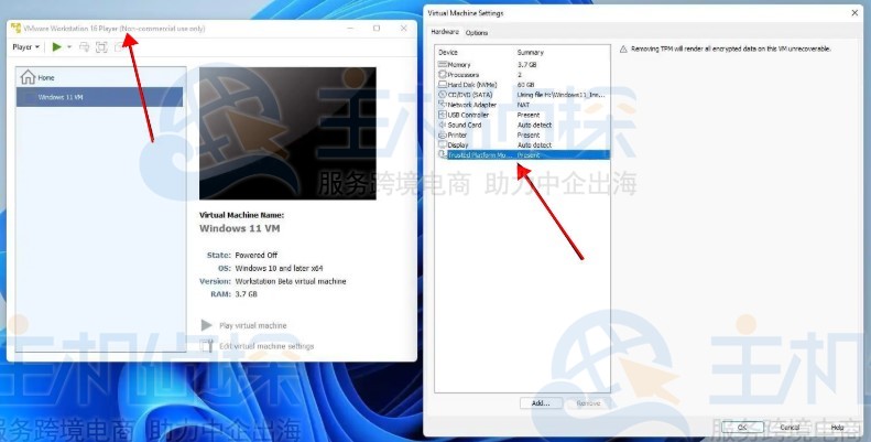 VMware虚拟机怎么启用TPM