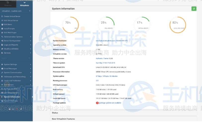 Virtualmin面板界面