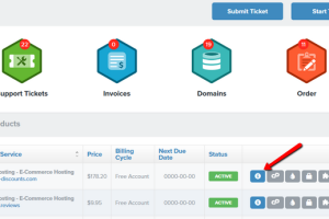 在客户区访问账户信息窗口