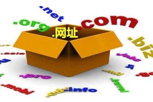 co域名是哪里的