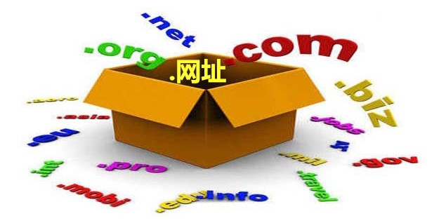 co域名是哪里的