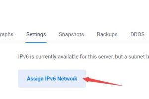 Vultr VPS服务器配置IPv6