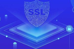 泛域名SSL证书支持哪些域名