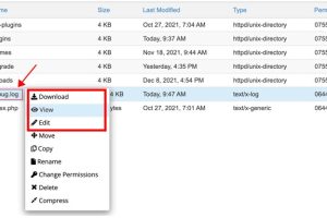 WordPress错误日志怎么查看