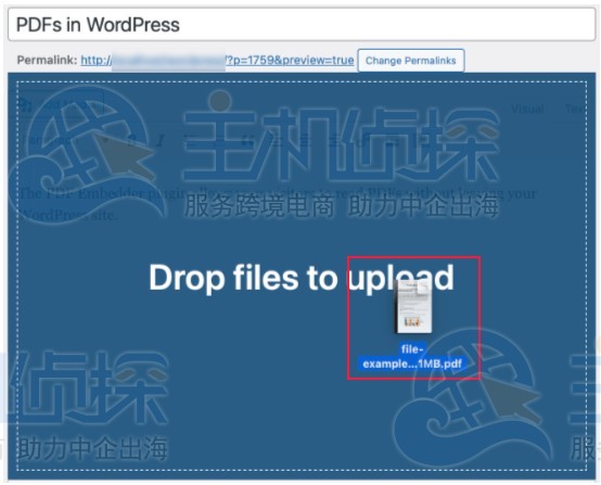 WordPress经典编辑器添加PDF查看器
