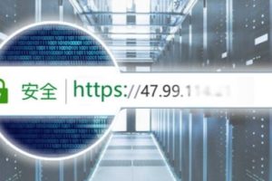 基于IP地址的SSL证书