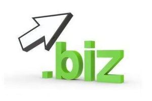 biz域名的含义是什么