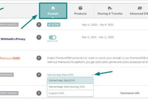 Namecheap修改域名DNS服务器