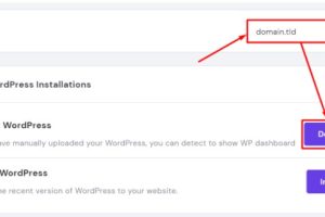 如何在hPanel上启用WordPress仪表盘