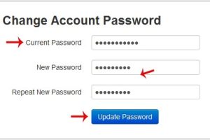 Digital-VM新加坡VPS控制面板密码修改