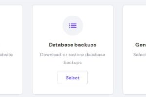 Hostinger主机如何创建网站备份