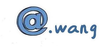 wang域名是哪里的