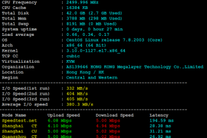 Megalayer香港VPS评测