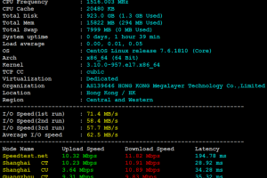 Megalayer香港CN2服务器评测