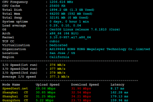 Megalayer美国CN2服务器评测
