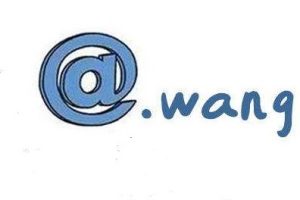 wang域名有没有价值