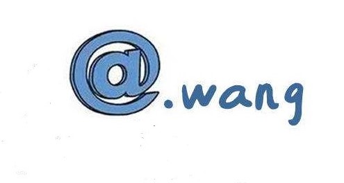 wang域名有没有价值
