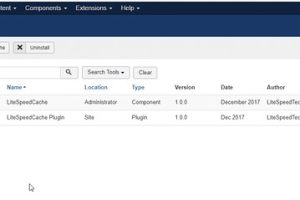 启用LiteSpeed缓存插件