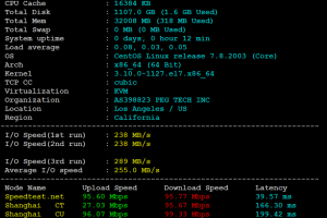 RAKsmart美国裸金属服务器评测