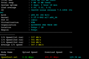 RAKsmart日本云服务器评测