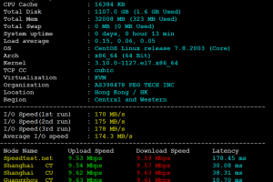 RAKsmart香港裸机云服务器测评