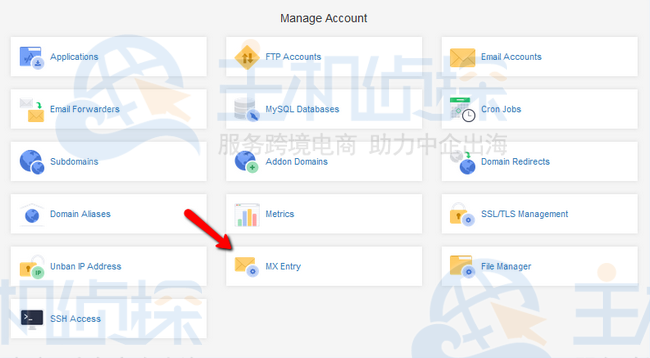 访问 MX 条目菜单