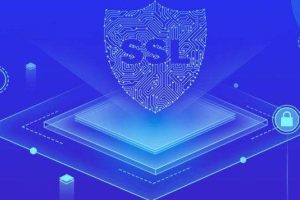 SSL数字证书安装在哪里