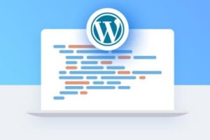 OptinMonster 2.6.4及以下版本发现漏洞