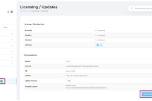 升级DirectAdmin版本