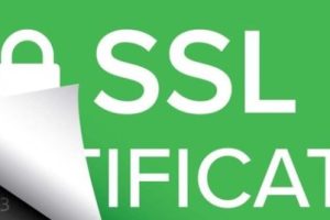 域名型SSL证书多少钱一年