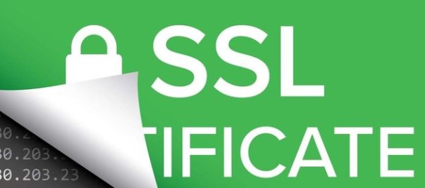 域名型SSL证书多少钱一年