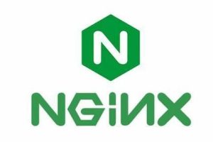 Nginx 1.21.6主线版