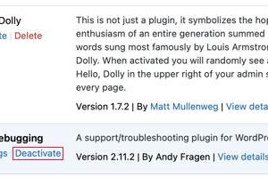 WP Debugging插件禁用