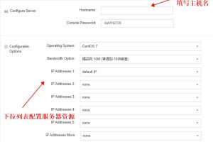 RAKsmart香港服务器如何购买