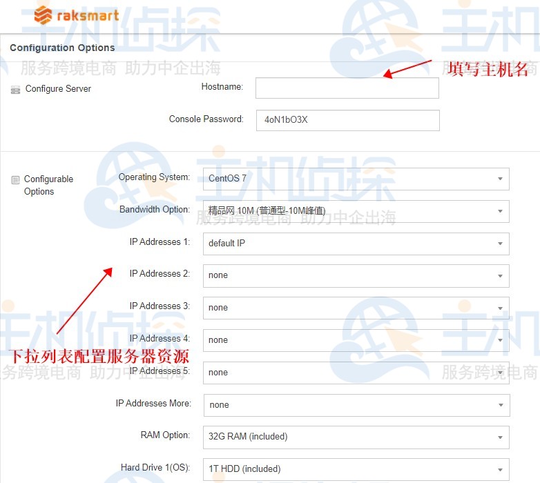 RAKsmart香港服务器如何购买