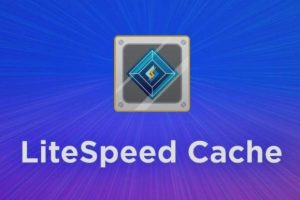 WordPress网站如何启用LiteSpeed缓存功能