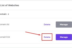 Hostinger虚拟主机里的网站怎么删除