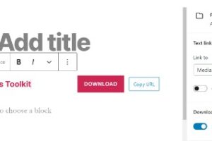 PDF文件怎样上传到WordPress网站