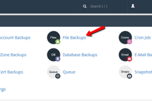 访问 FastComet 的 cPanel 中的文件备份功能