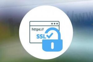 GlobalSign单域名SSL证书多少钱一年