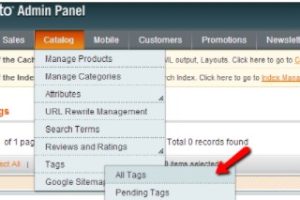 Magento商店添加产品标签的方法步骤